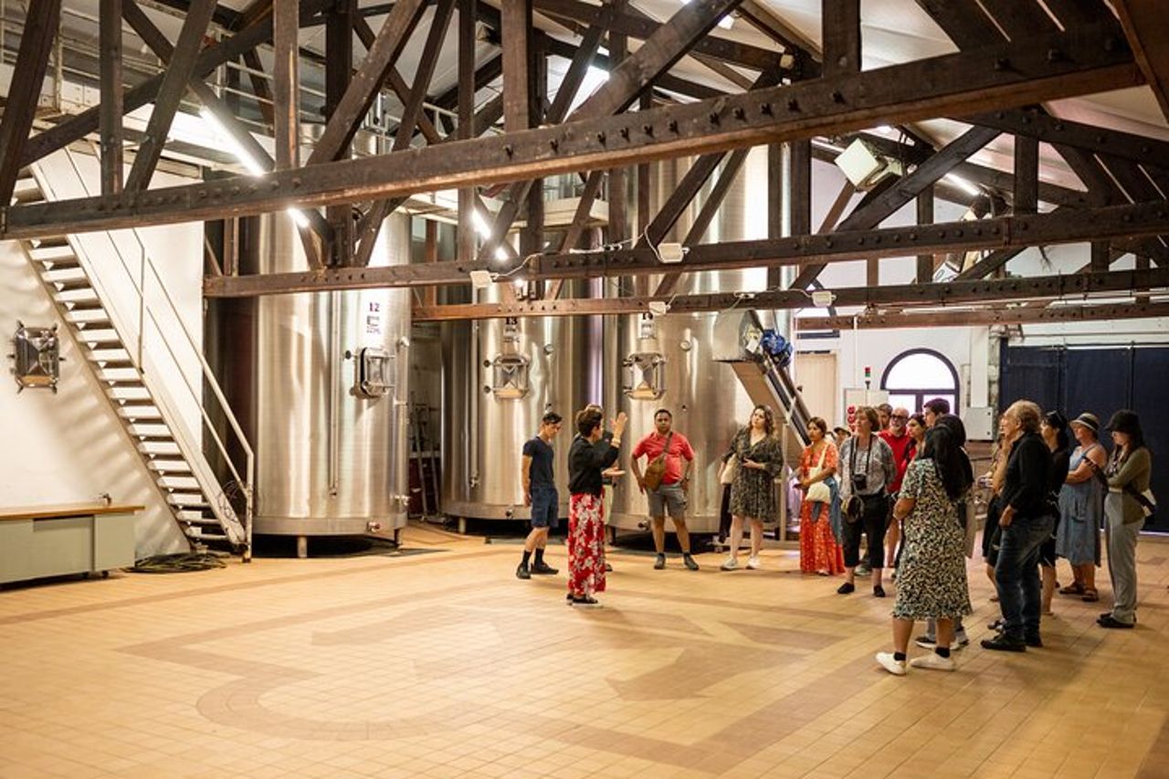 Tour del vino di mezza giornata attraverso i vigneti di Bordeaux — 9