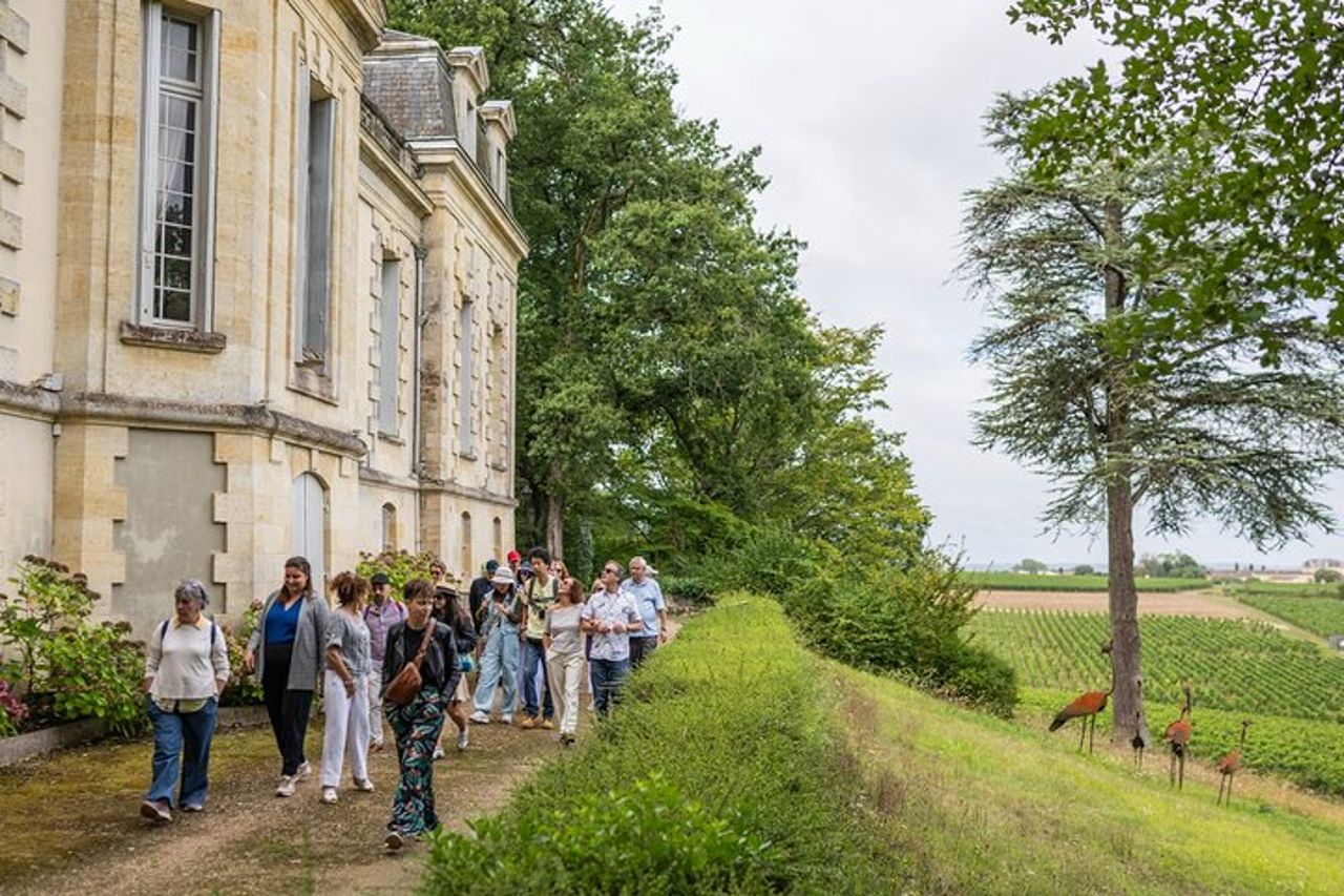 Tour del vino di mezza giornata attraverso i vigneti di Bordeaux — 3