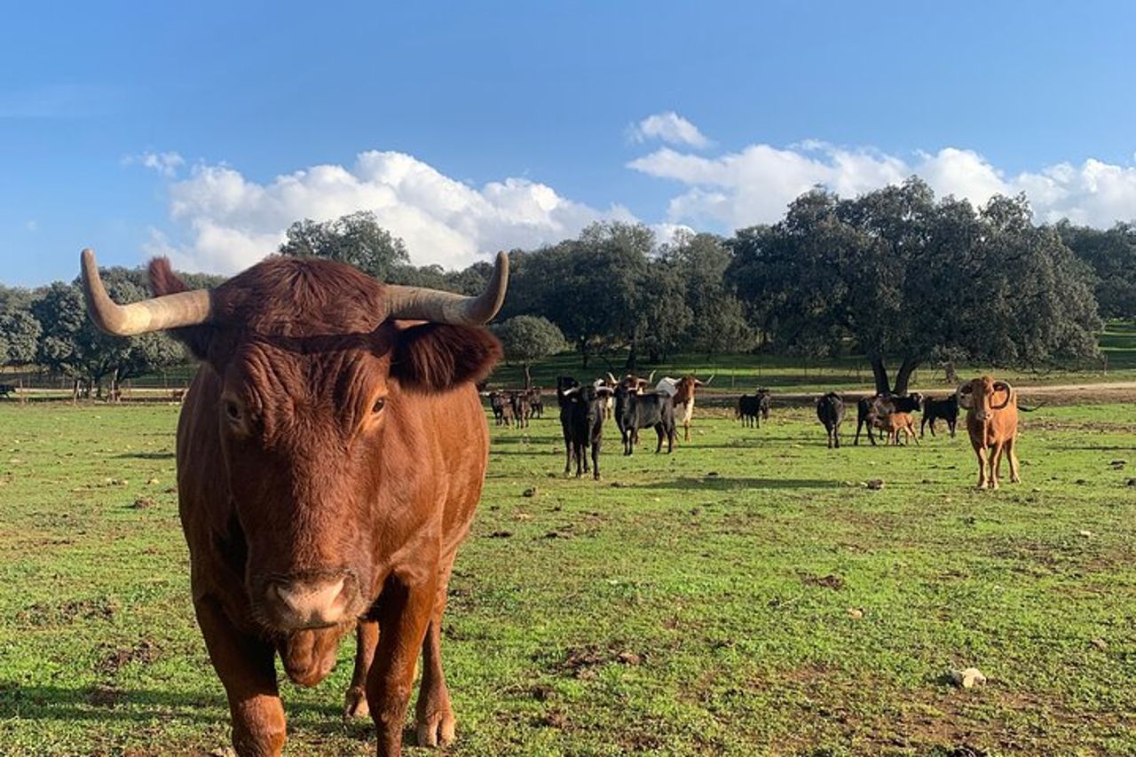 Visita en exclusiva con los 5 sentidos — 6