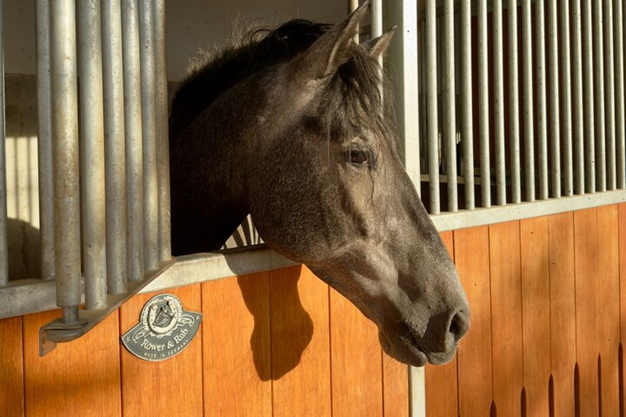 Visita en exclusiva con los 5 sentidos — 7