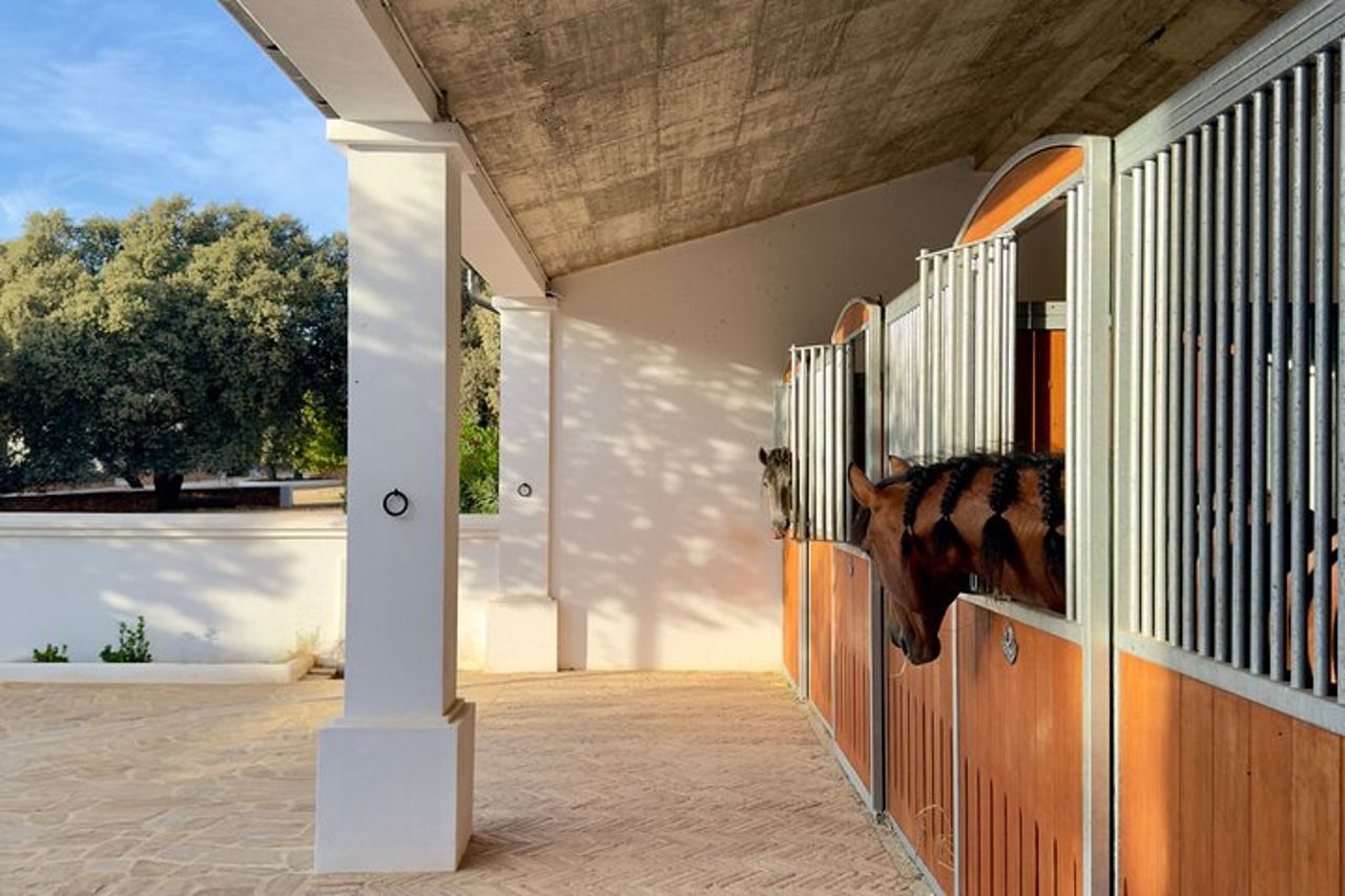 Visita en exclusiva con los 5 sentidos — 8