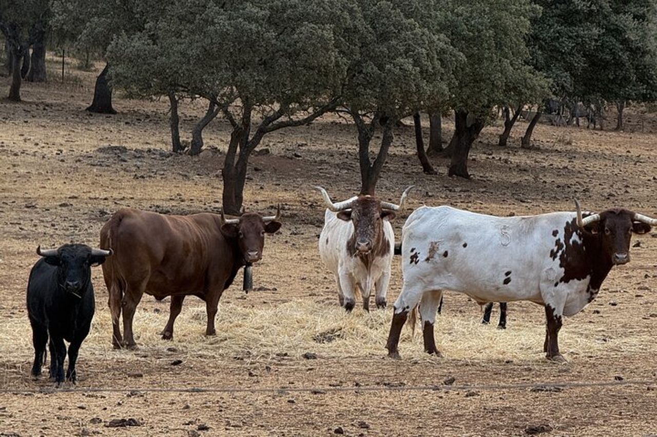 Visita en exclusiva con los 5 sentidos — 9