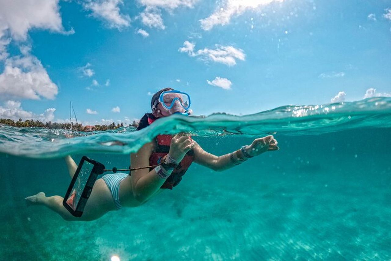 Tour di mezza giornata di tartarughe marine e snorkeling Cenote da Cancun e Riviera Maya — 8