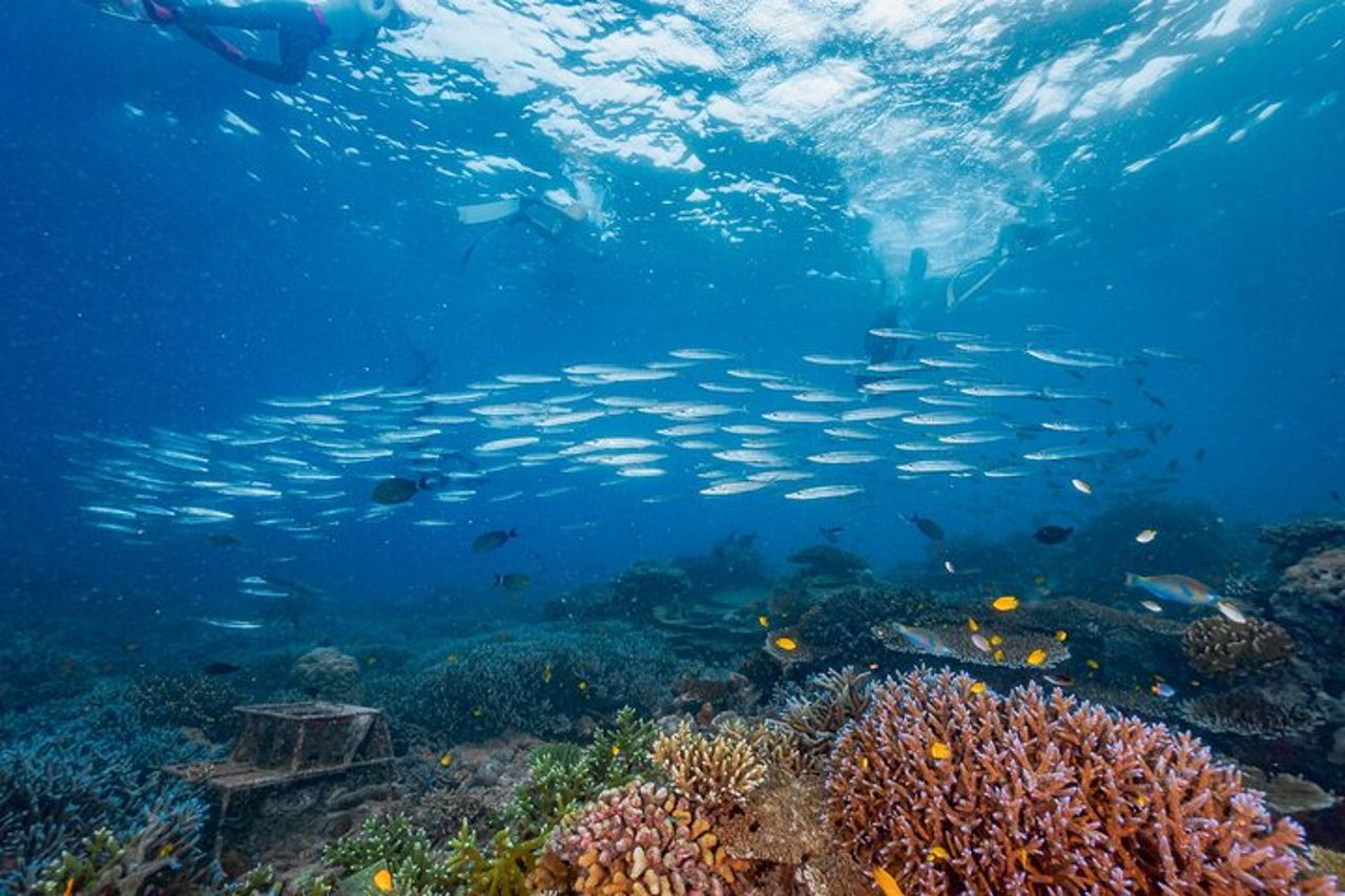 Vibrante Surin Islands Snorkel Catamarano da Khao Lak — 3