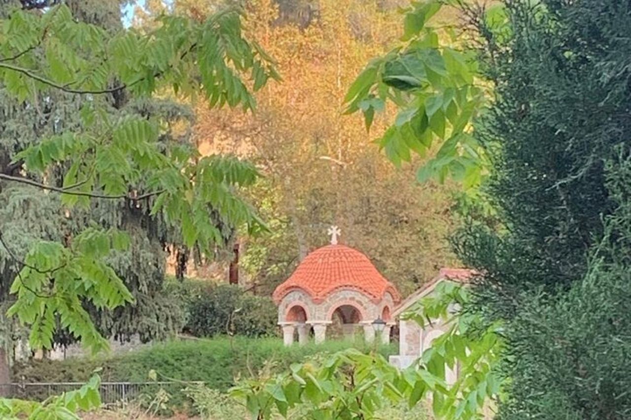 Golden Donkey Farm & Lefkara Village Adventure Larnaca hide Gems — 9