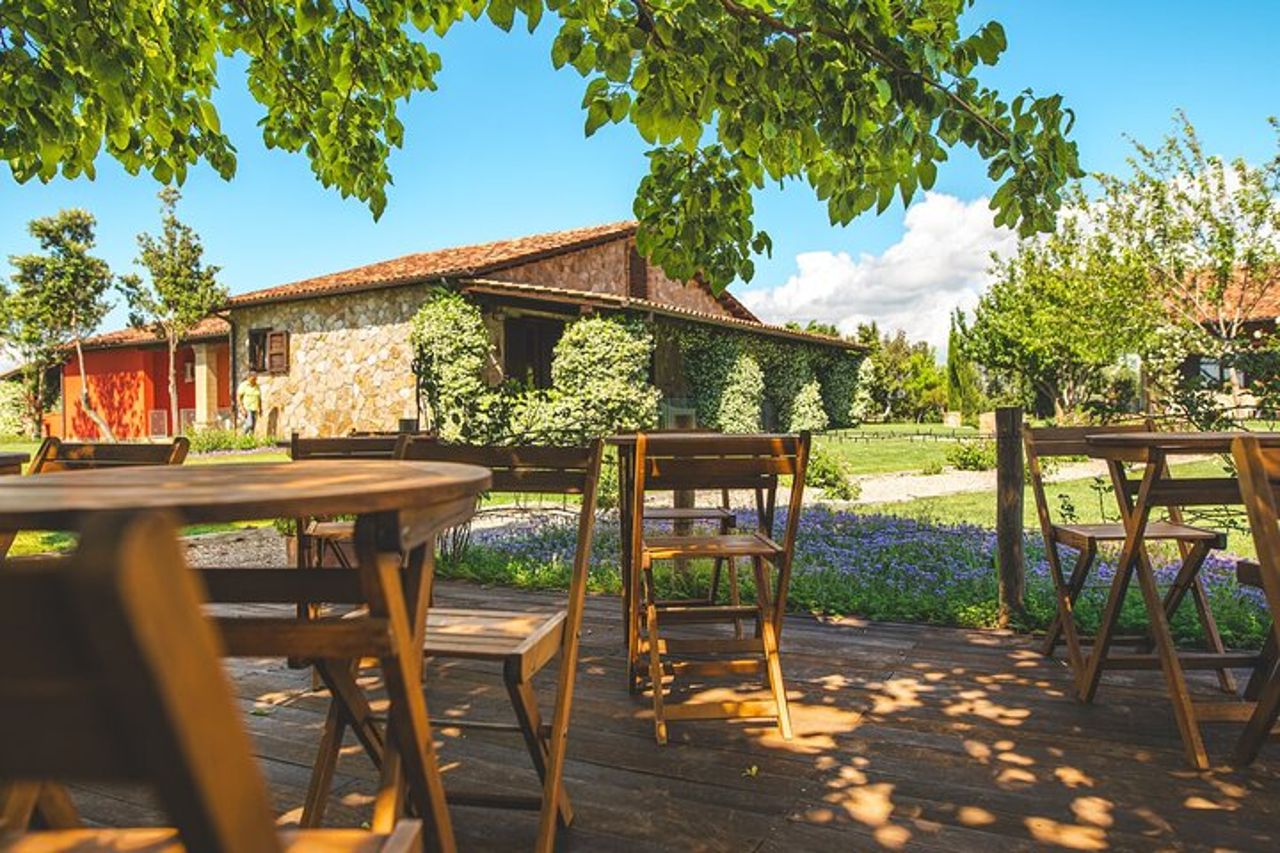 Tour privato del vino della città di Viterbo e dell'agriturismo da Civitavecchia — 9