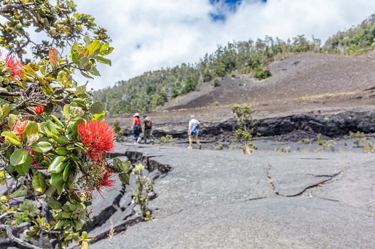 Tour guidato privato del vulcano Kilauea — 9