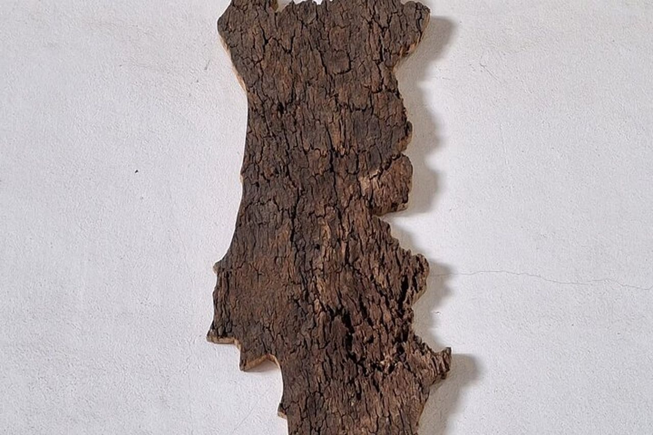 Tour di Évora — 4