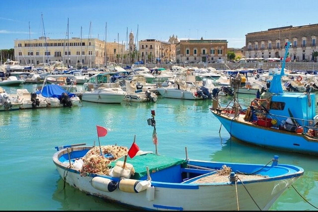 Tour privato in 3 gemme costiere: Trani, Molfetta, Giovinazzo. — 6