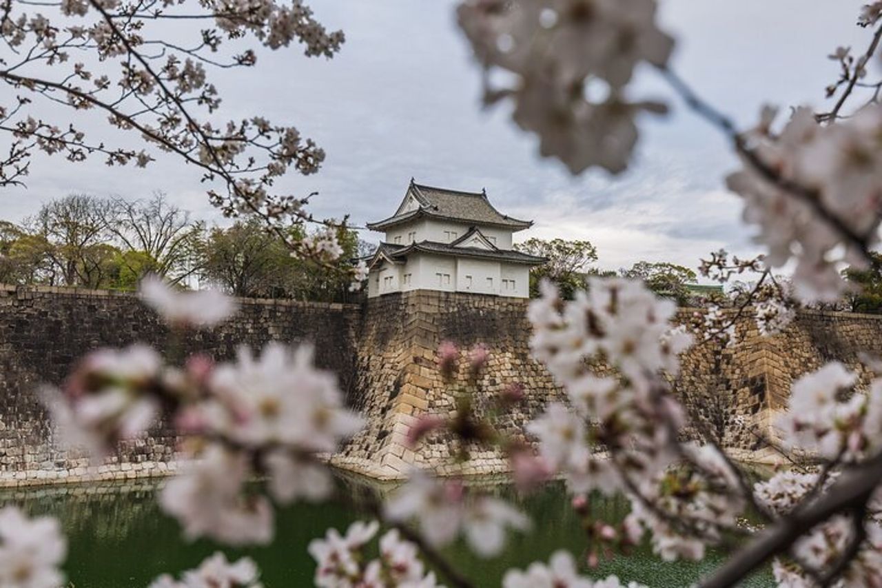 Tour privato di Tokyo — 4