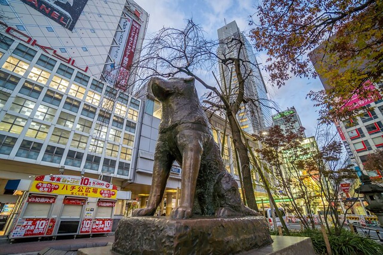 Tour privato di Tokyo — 6