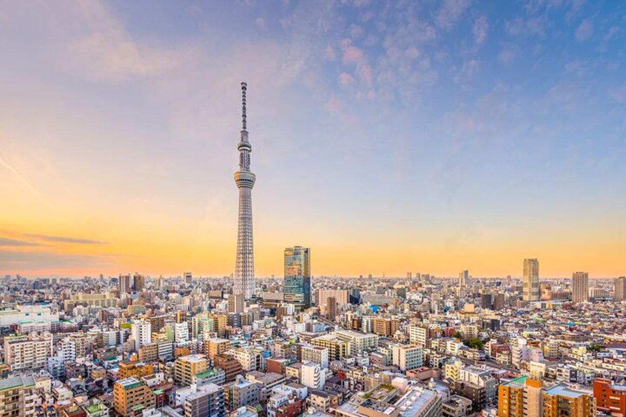 Tour privato di Tokyo — 8