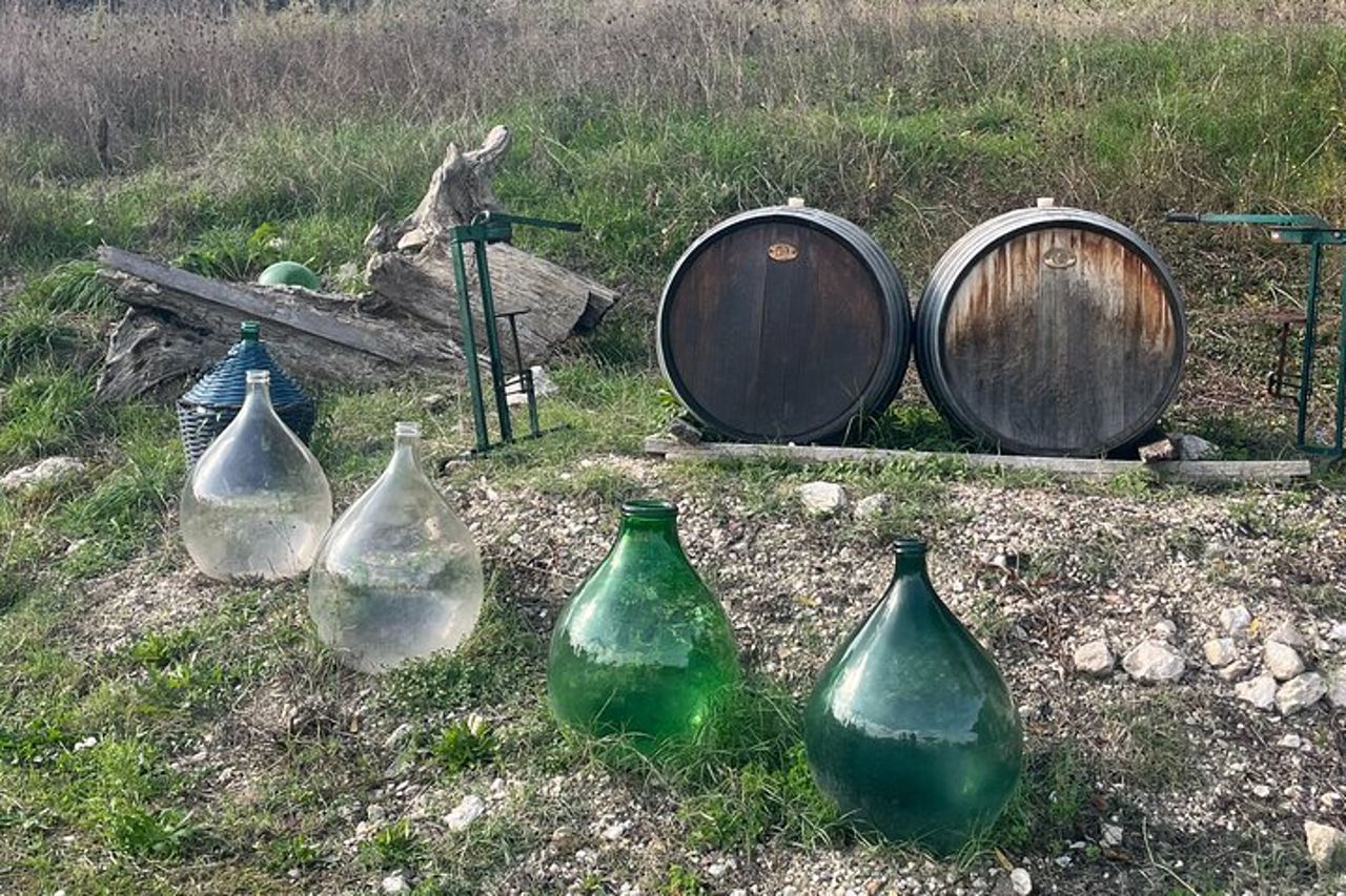 Tour privato dell'esperienza del vino e dei sapori dell'Irpinia da Napoli — 3