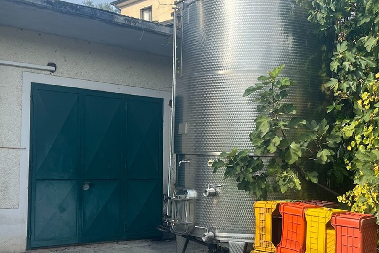Tour privato dell'esperienza del vino e dei sapori dell'Irpinia da Napoli — 5