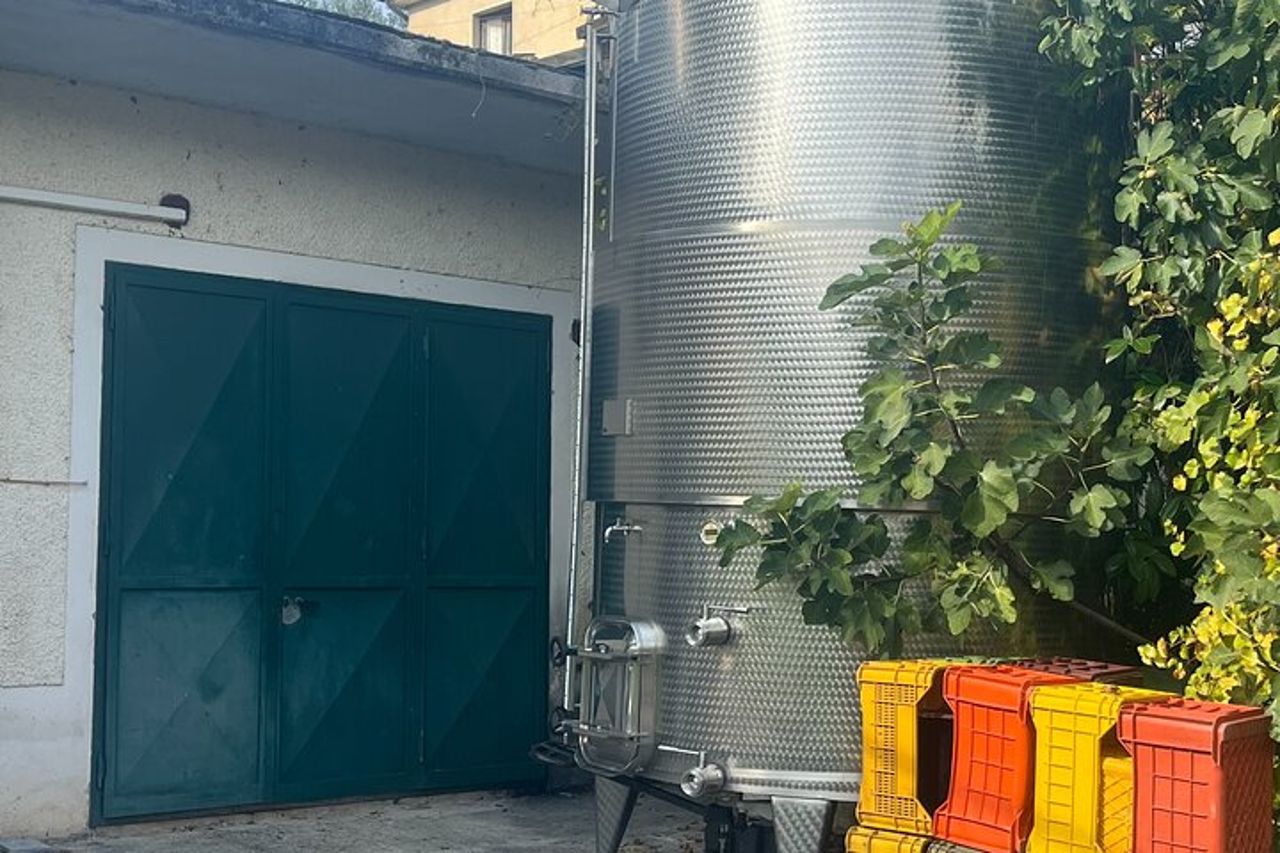 Tour privato dell'esperienza del vino e dei sapori dell'Irpinia da Positano — 5