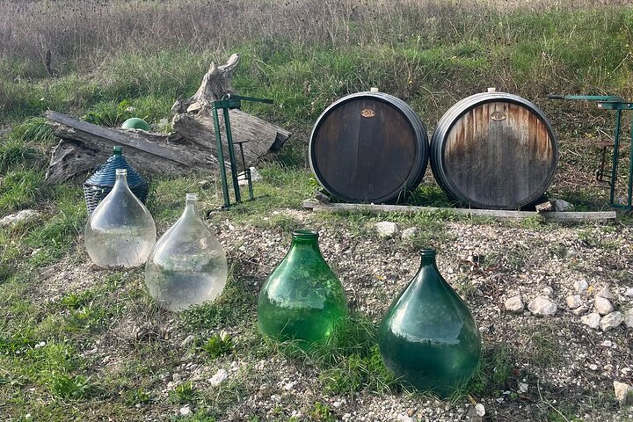 Tour privato dell'esperienza del vino e dei sapori dell'Irpinia da Positano — 3