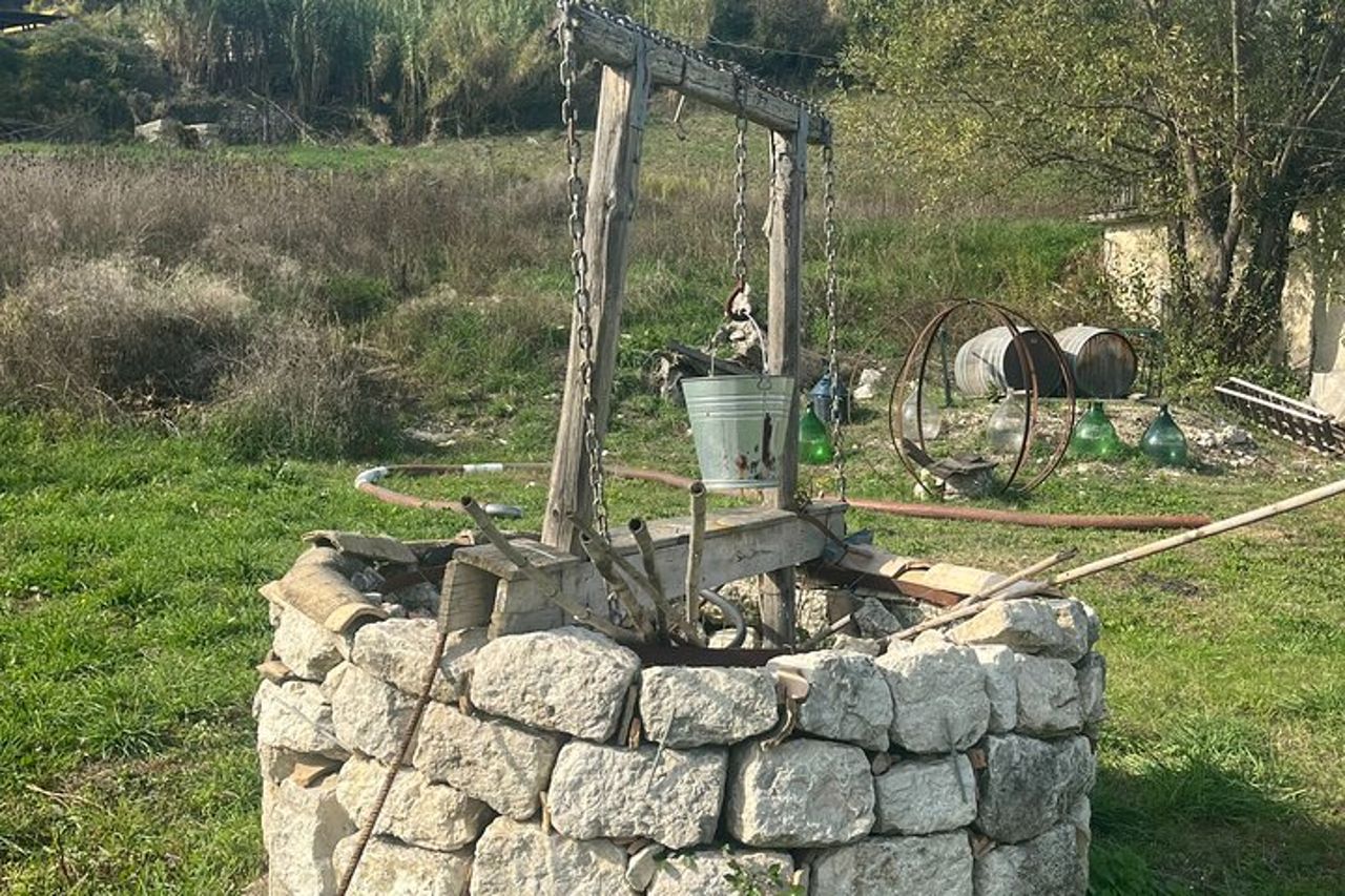 Tour privato dell'esperienza del vino e dei sapori dell'Irpinia da Positano — 4