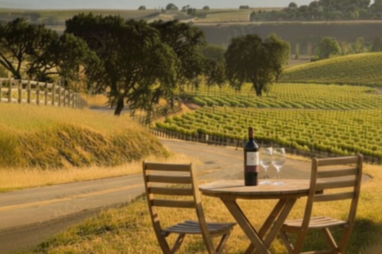 Sideways Movie Wine Trail: un tour di guida autonoma — 2