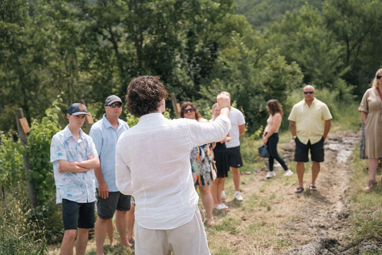 Irpinia Cooking Class e Wine Experience con Transfer — 5