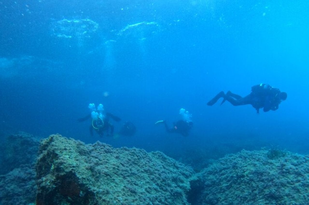 Mallorca : Scopri le immersioni subacquee dalla barca — 4
