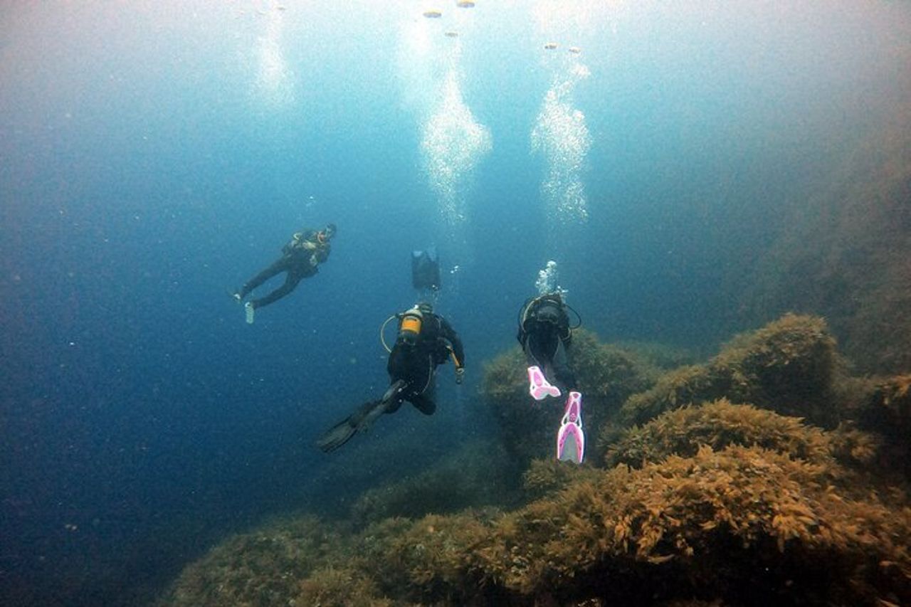 Mallorca : Scopri le immersioni subacquee dalla barca — 3