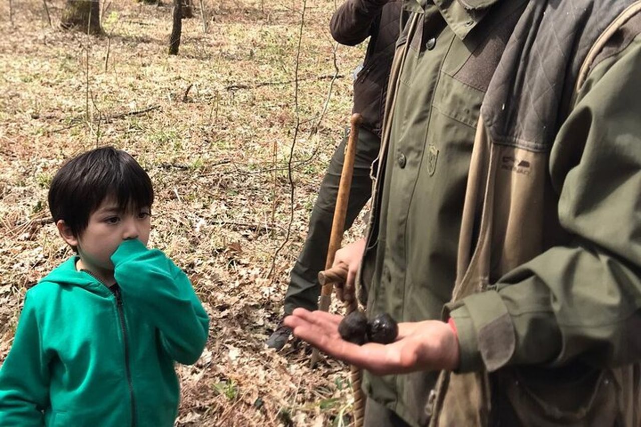 Tour privato in Irpinia con caccia al tartufo e degustazione di vini — 9