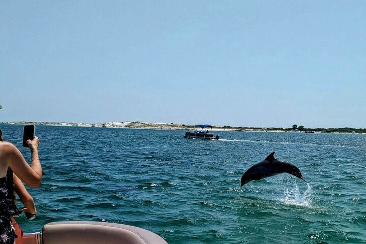 1,5 ore Tiki Boat Harbor e crociera sui delfini Destin FL — 6