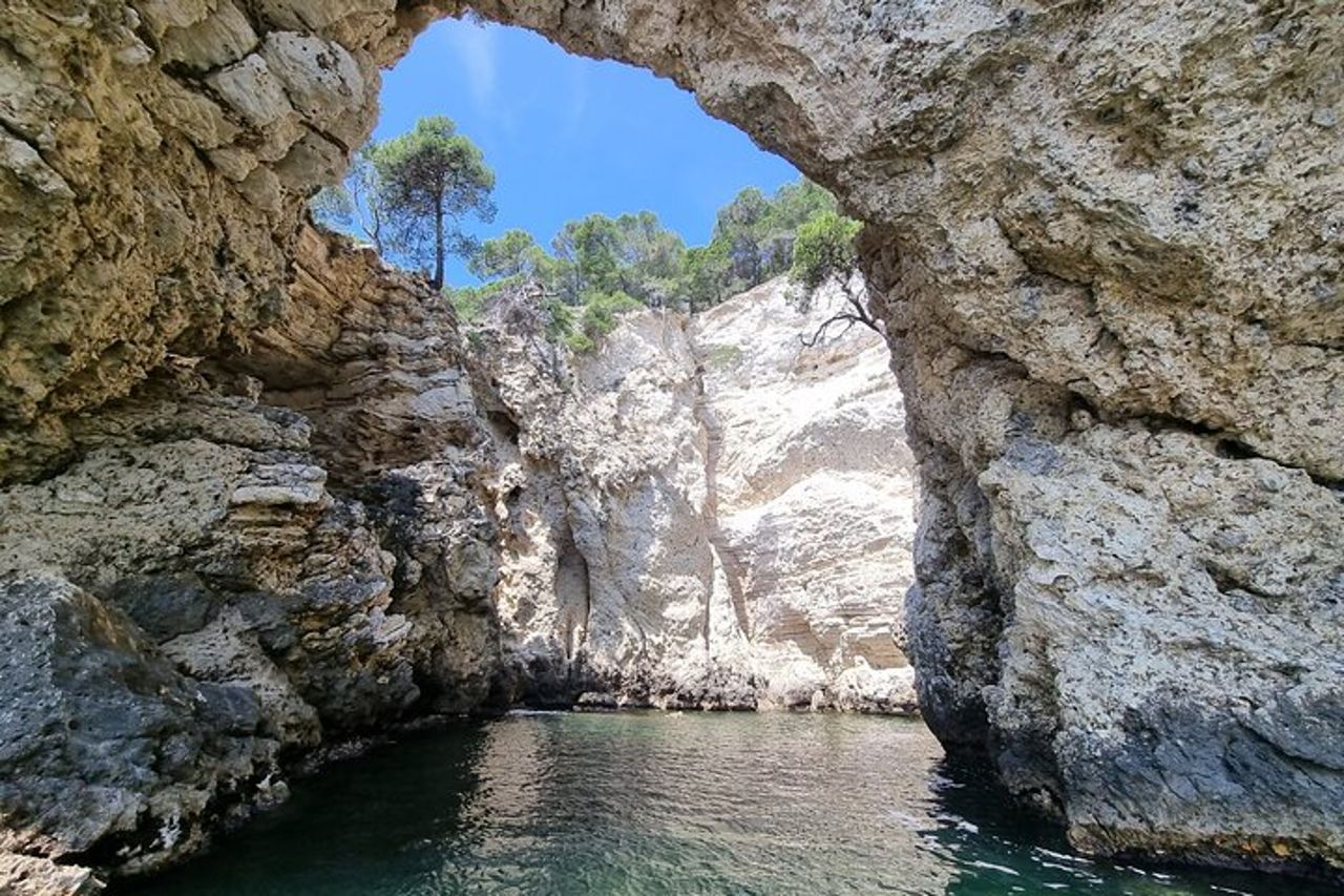 Tour in barca a Vieste condivisa con sosta bagno — 3