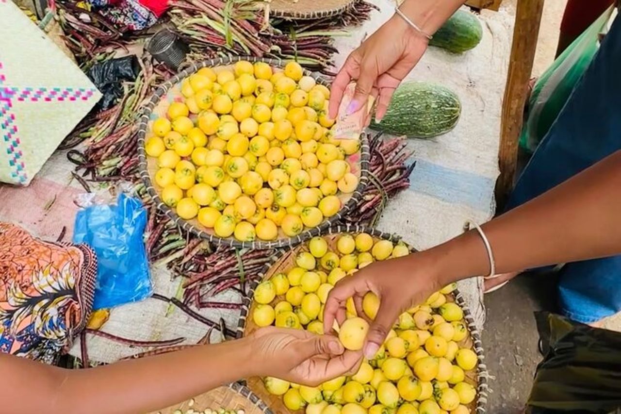 Tour della città in tuk-tuk ad Antsiranana Diego Suarez Baobab e shopping — 6