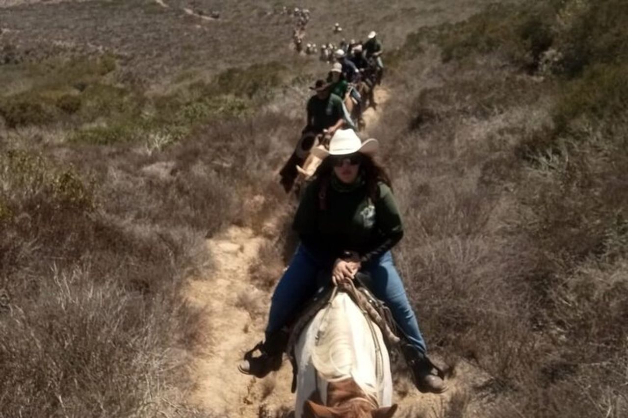Passeggiata a cavallo e Carne Asada Ranch Experience a Ensenada — 7