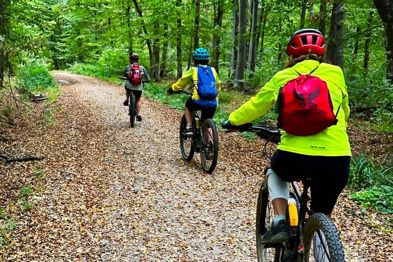 6 - Vacanza ciclistica guidata in Transilvania di un giorno : Sentiero del patrimonio sassone — 3