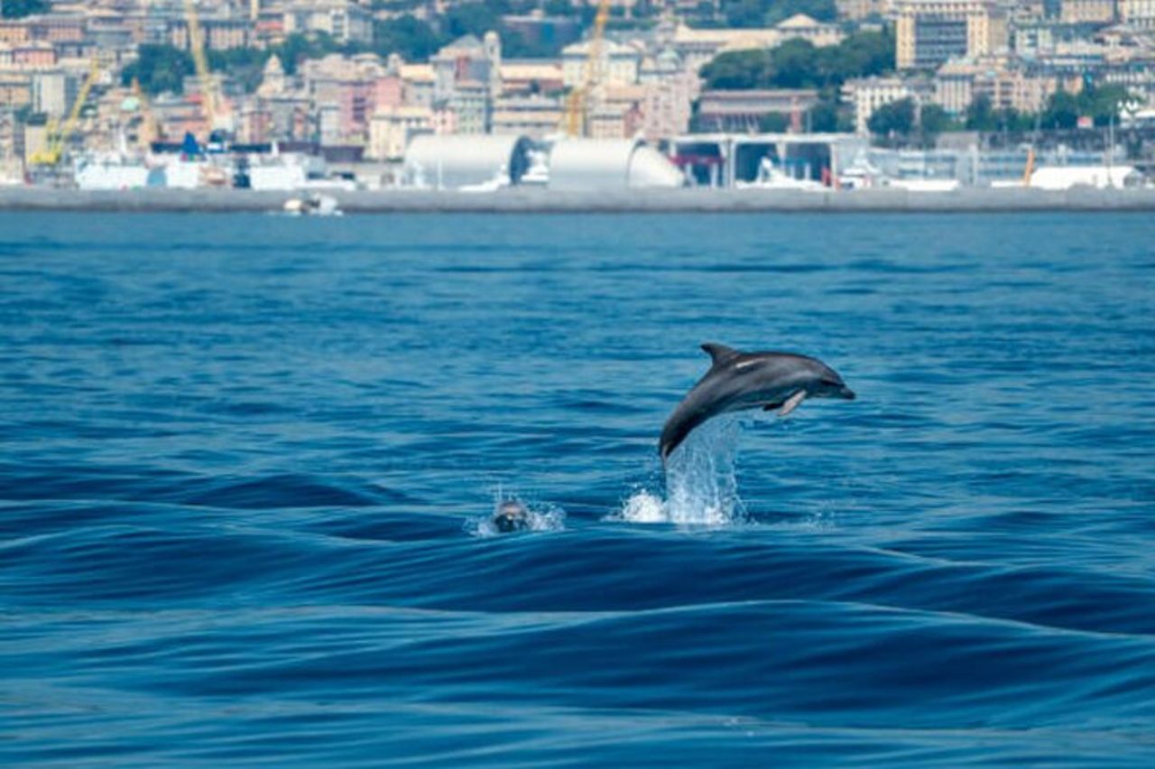 Escursione a terra di mezza giornata: Portofino, Santa Margherita e Camogli — 3