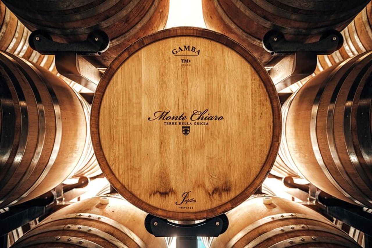 Wine Tour & Degustazione - Chianti & Supertuscan Bio — 2