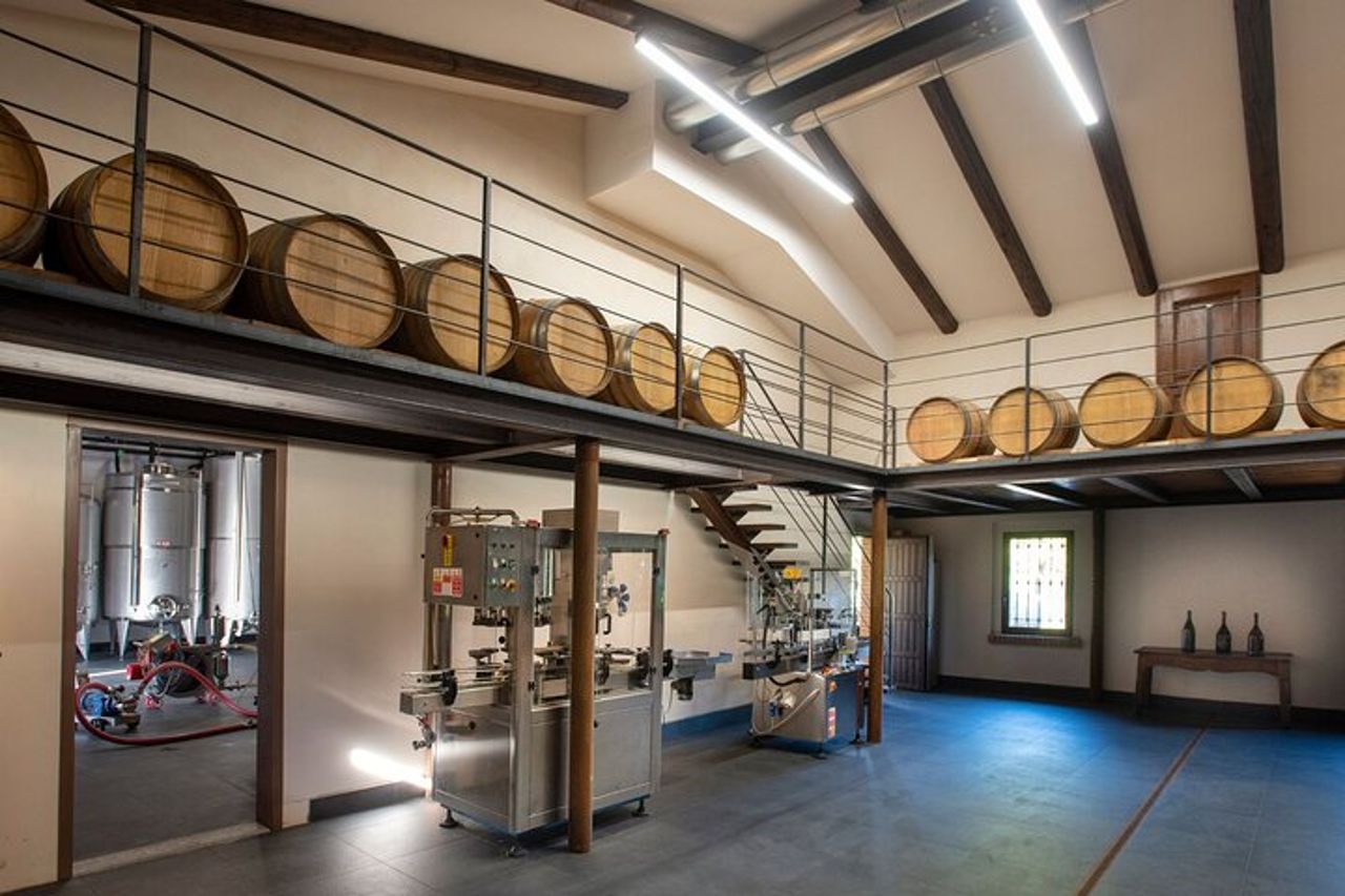 Degustazione e Abbinamenti nelle Langhe e vicino Alba — 6