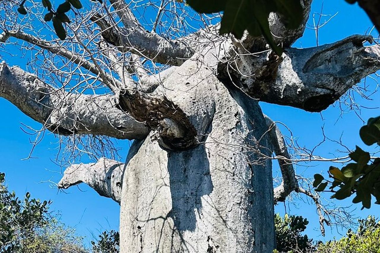 Antsiranana: escursioni via terra (Diego Suarez) — 8