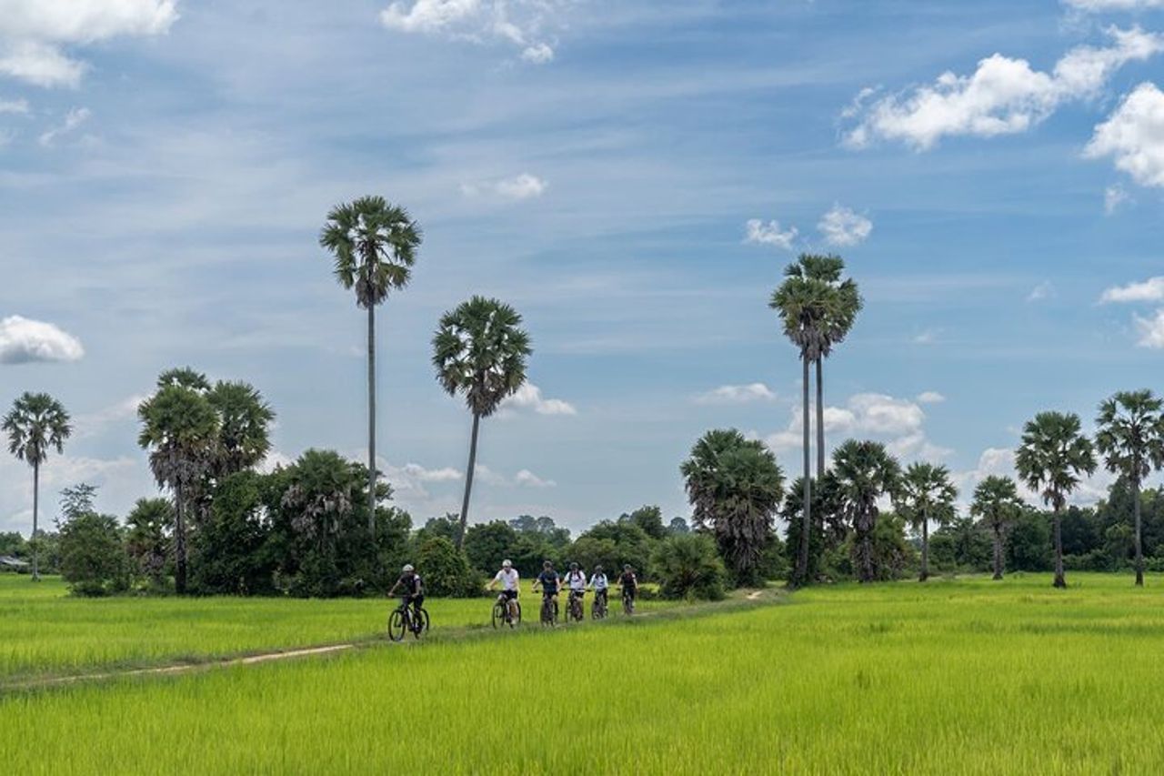 Siem Reap : tour in bicicletta all'alba di Angkor Wat e colazione nella giungla — 4