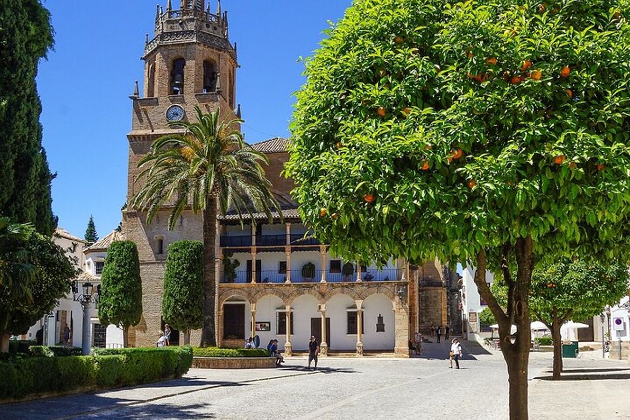 Tour in autobus di Ronda e Setenil Village e gita di un giorno da Malaga — 8