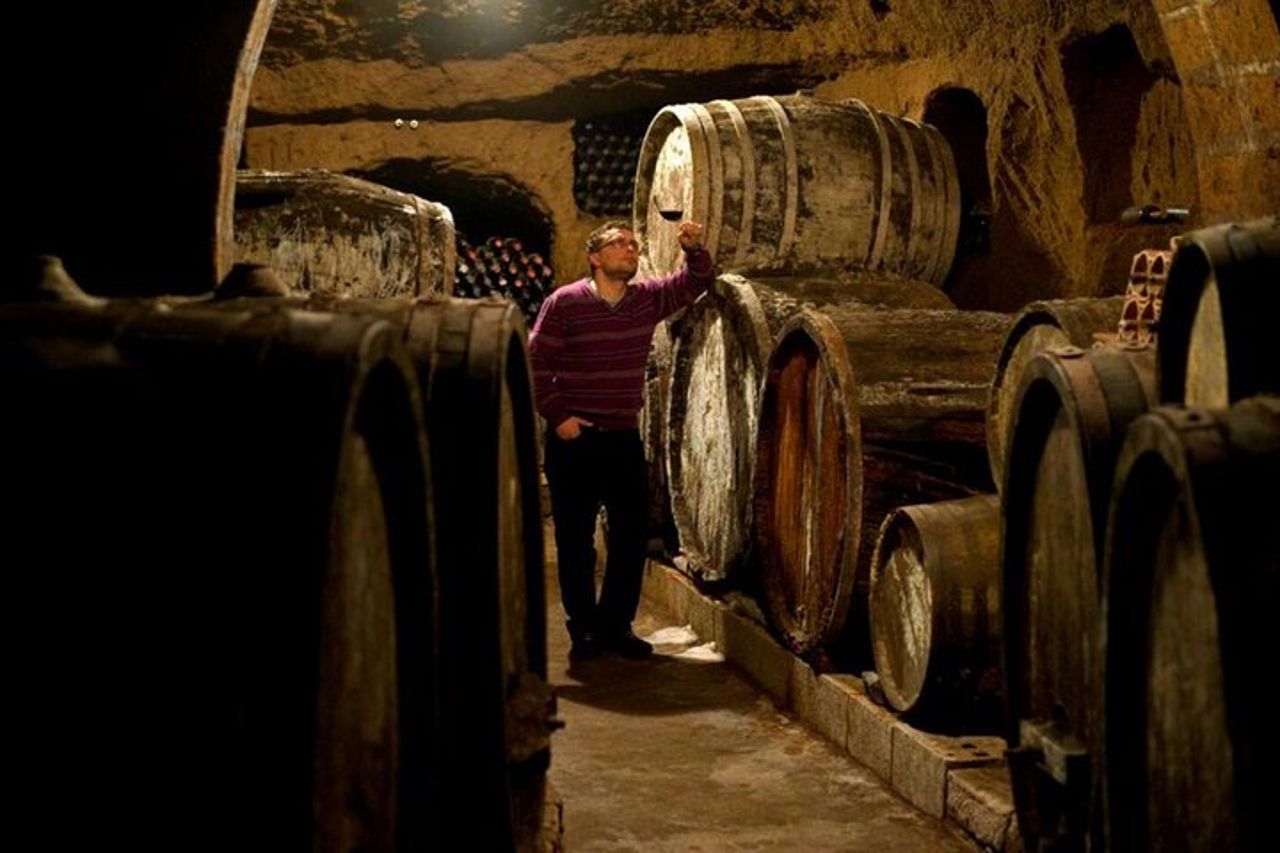 Degustazione di vini con visita alla cantina di cibo e tufo a Orvieto