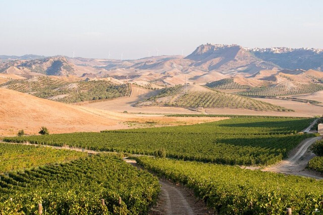 Escursione privata a terra a Crotone: Santa Severina e degustazione di vini — 6
