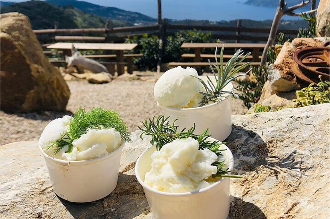 Merenda in Collina all'Elba con Gelato di Capra Tour e-Bike
