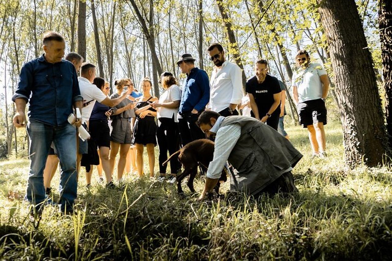 Ricerca del Tartufo Bianco d'Alba — 7