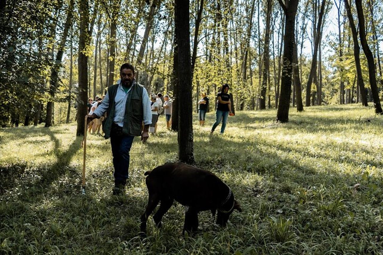 Ricerca del Tartufo Bianco d'Alba — 8