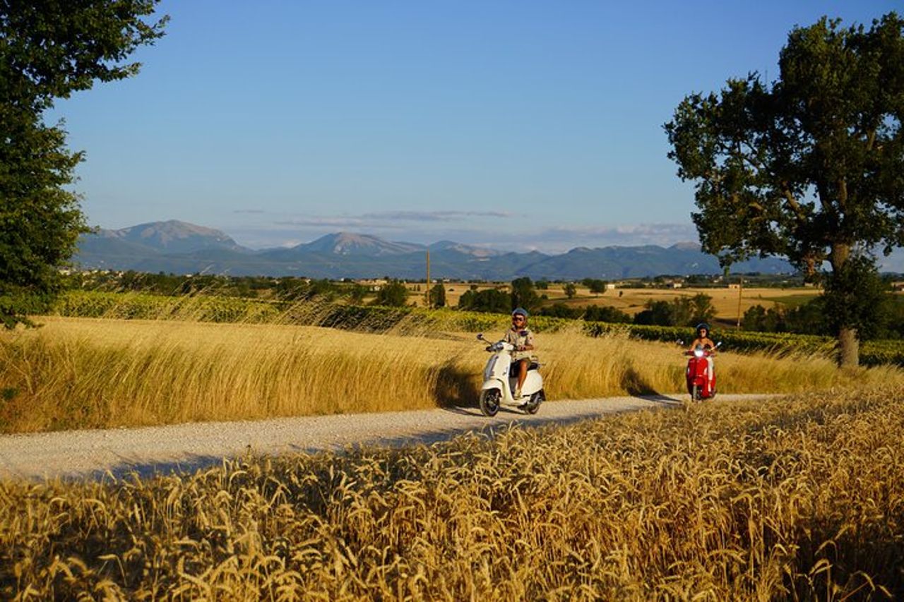 Tour in Vespa a Montefalco e Degustazione in Cantina — 2
