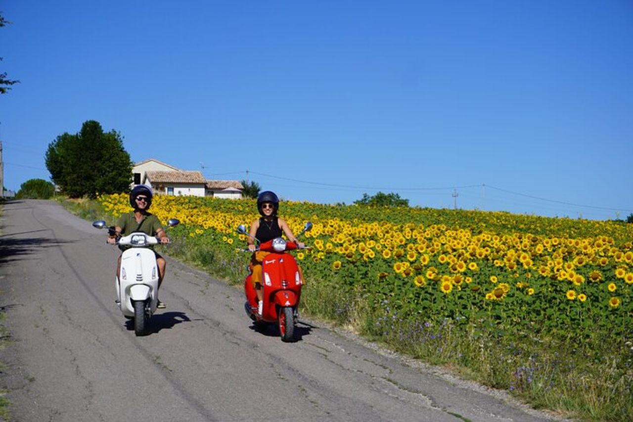 Tour in Vespa a Montefalco e Degustazione in Cantina — 6