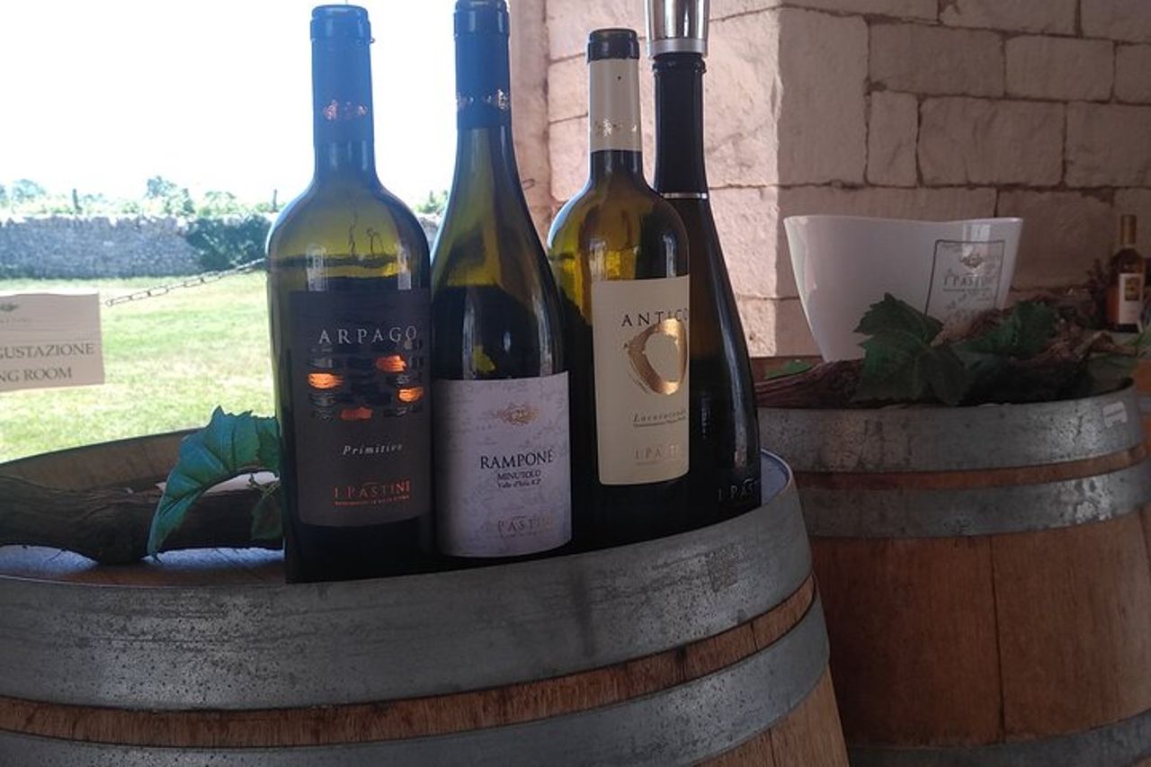 Tour in ebike: Alberobello e i vini della Valle d'Itria — 4