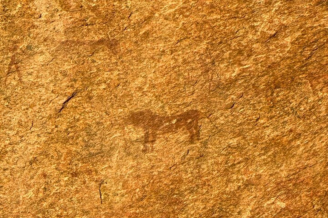 Tour di un giorno di Spitzkoppe in Africa Cervino e Arte Antica — 4