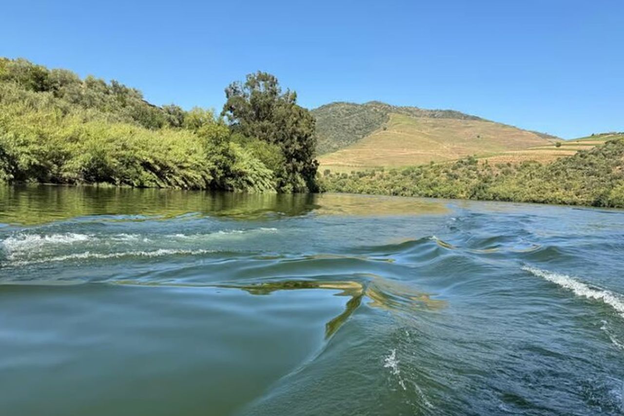 Gita in barca di 50 minuti sul fiume Douro a Pinhão — 9