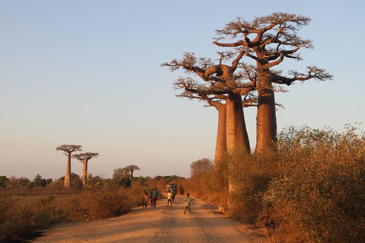 Tour d'avventura nel Madagascar occidentale | Natura e scoperta — 7