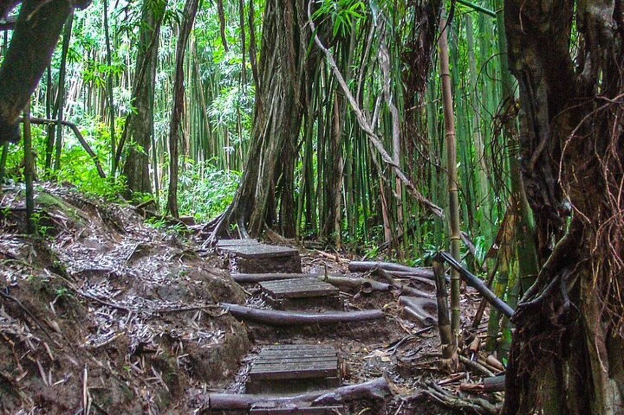 Tour alla scoperta del vulcano Hilo e delle cascate con approfondimenti locali — 3