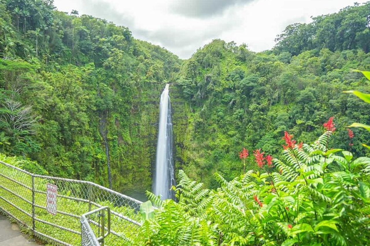 Tour alla scoperta del vulcano Hilo e delle cascate con approfondimenti locali — 6